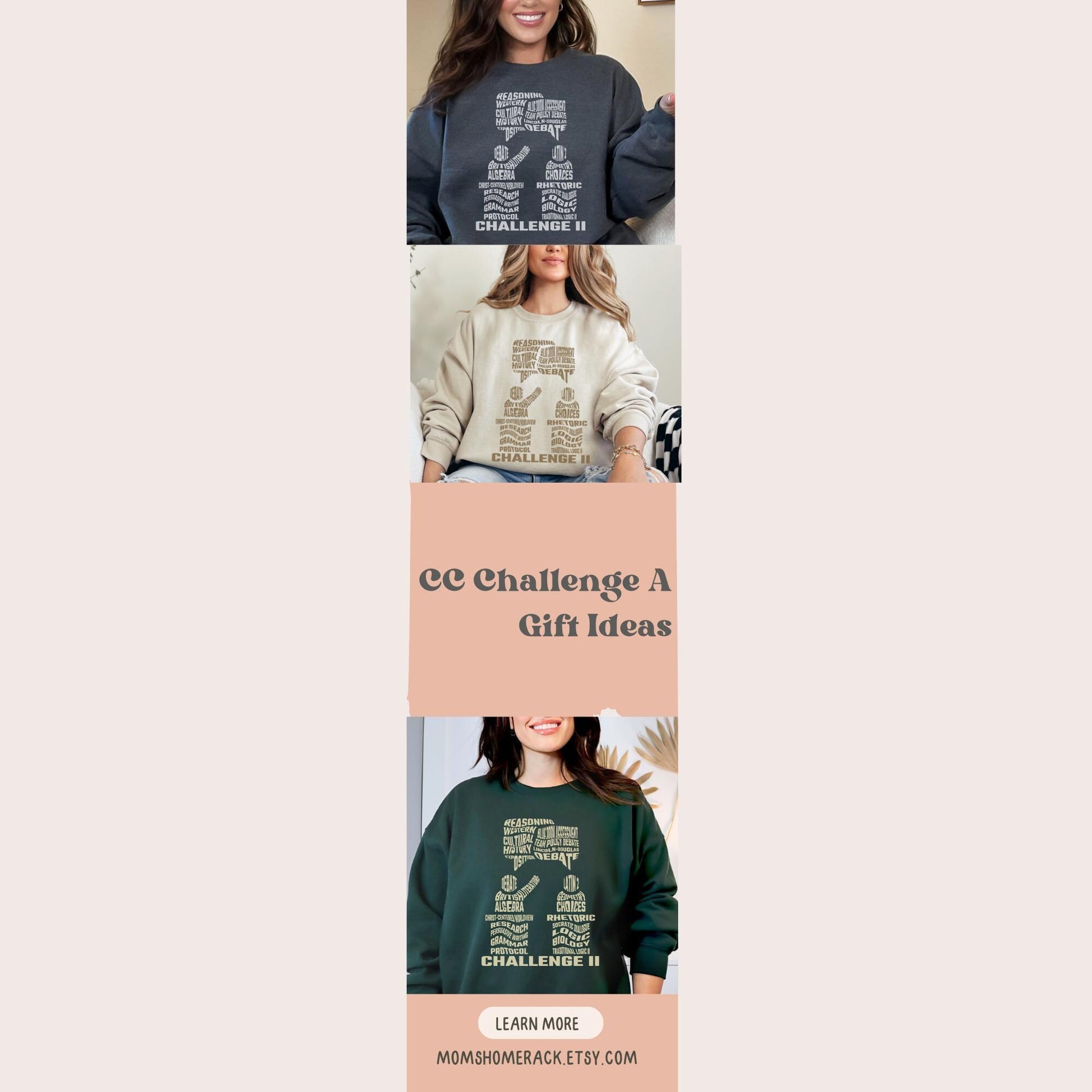 Homeschool Shirt Challenge 2 Shirt CC T-shirt