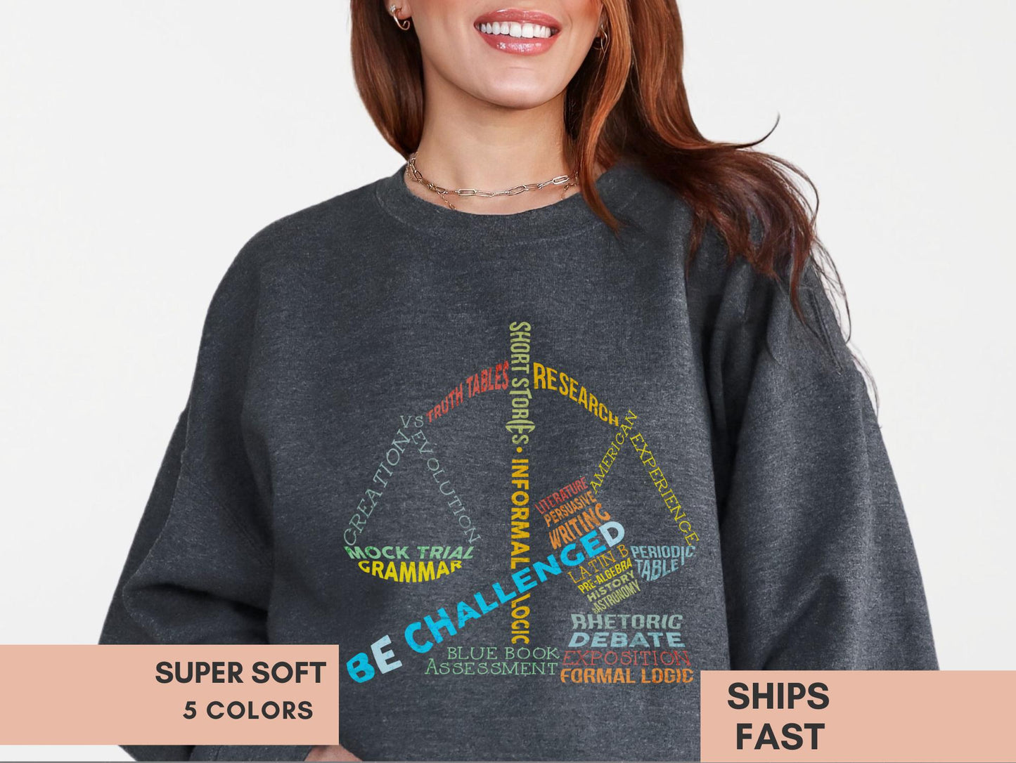 CC Challenge B Sweatshirt Gift For Classical Conversations Challenge B Student Crewneck Year End Gift CC Mock Trial Sweater Director Gift